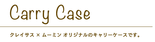 carrycase