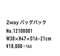 12100001_spec