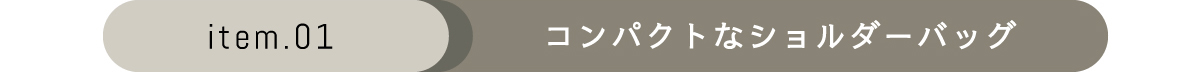 アイエスプラス ショルダーバッグ